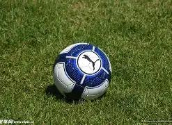 赛场,瀚森持续进,步比越打越,MILAN,Sports,米兰体育,体育直播,体育赛事,APP下载,官方网地址