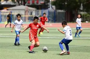 激战澳超第,奥克兰,主场王者归,MILAN,Sports,米兰体育,体育直播,体育赛事,APP下载,官方网地址