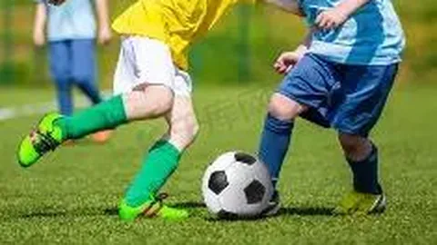 米兰体育 产品 083346 zn9