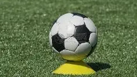 米兰体育 产品 083620 70s