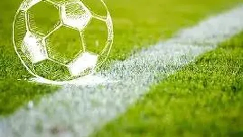 米兰体育 资讯 083724 2rp